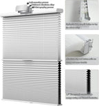 Day Night Cellular Shades Cordless