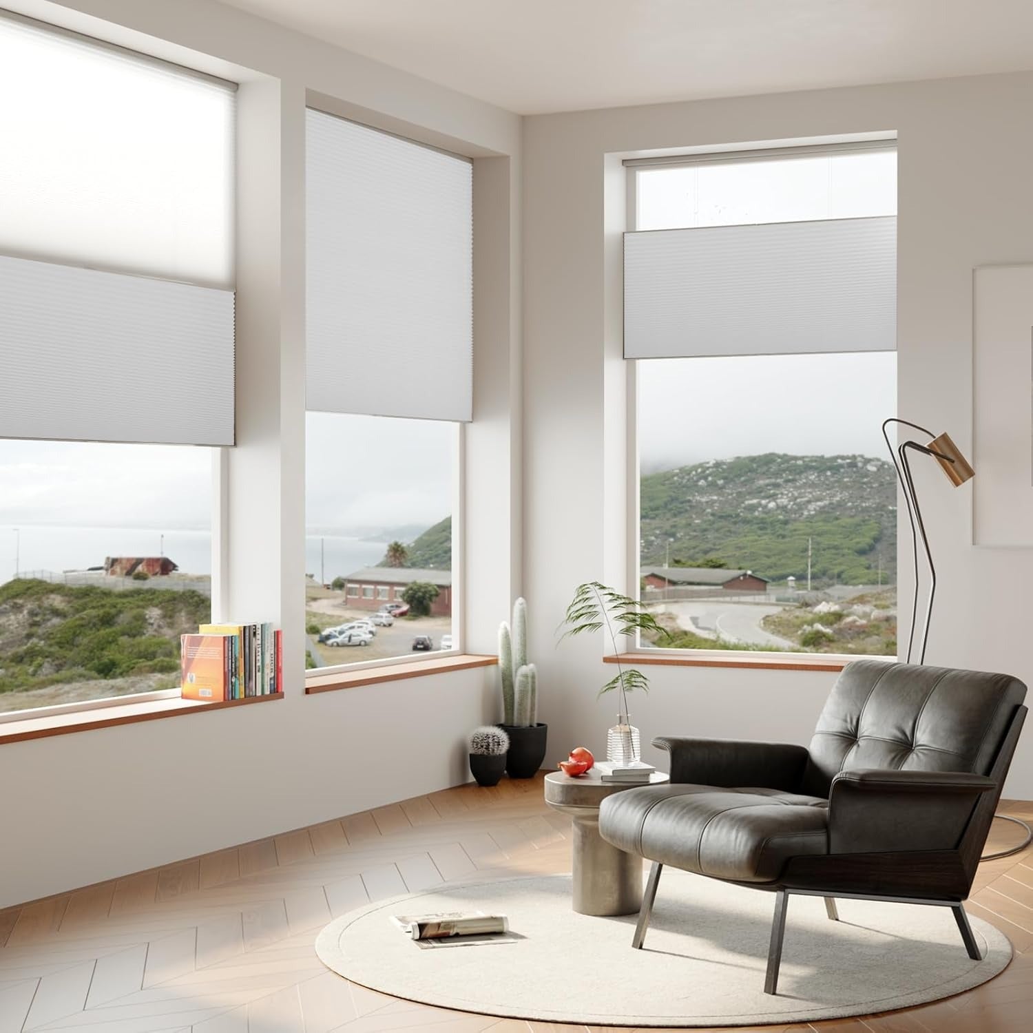 Top Down Bottom Up Cellular Shades