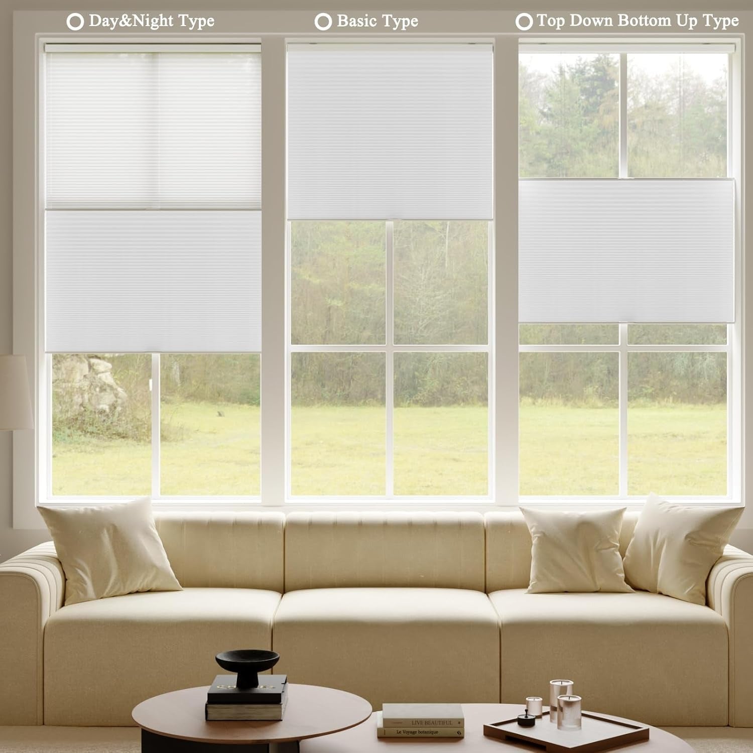 Top Down Bottom Up Cellular Shades